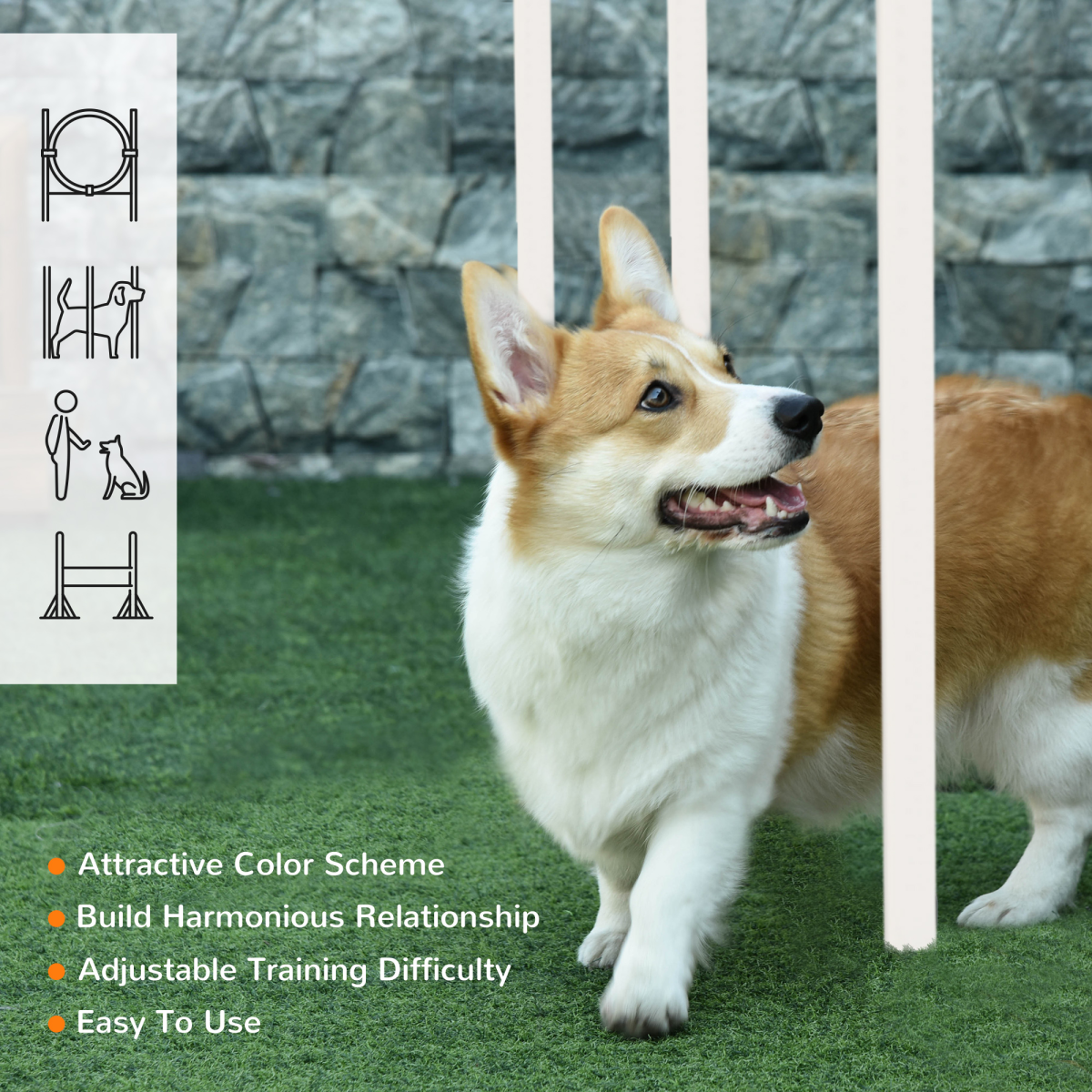 Dog Agility Equipment Obedience Training Set for Dogs - Multicoloured