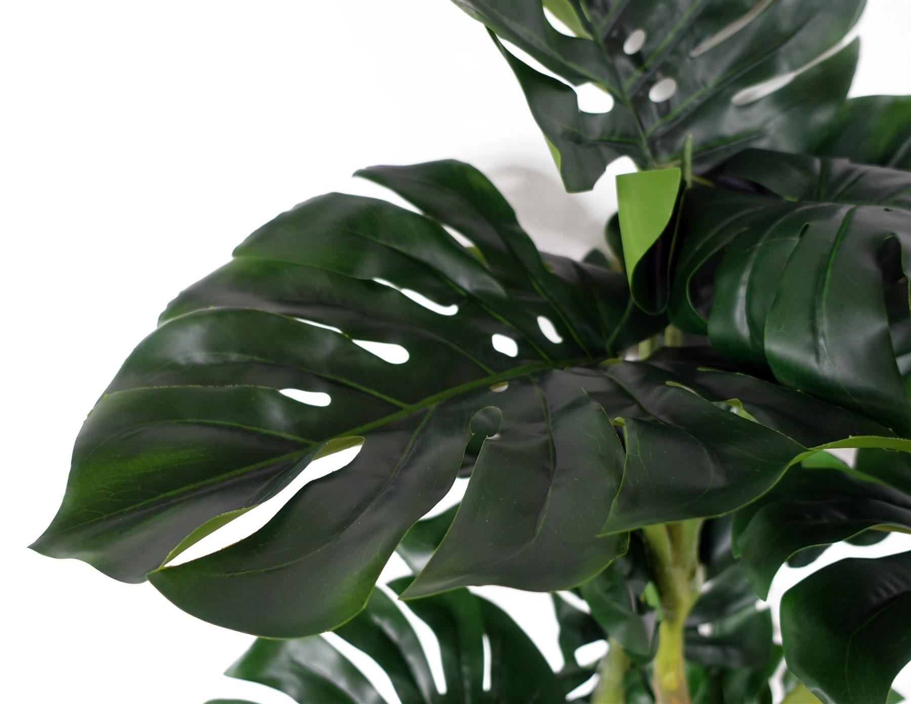 150cm Artificial Monstera Plant in Weighted Pot, Premium Quality, Highly Realistic, Ready to Display