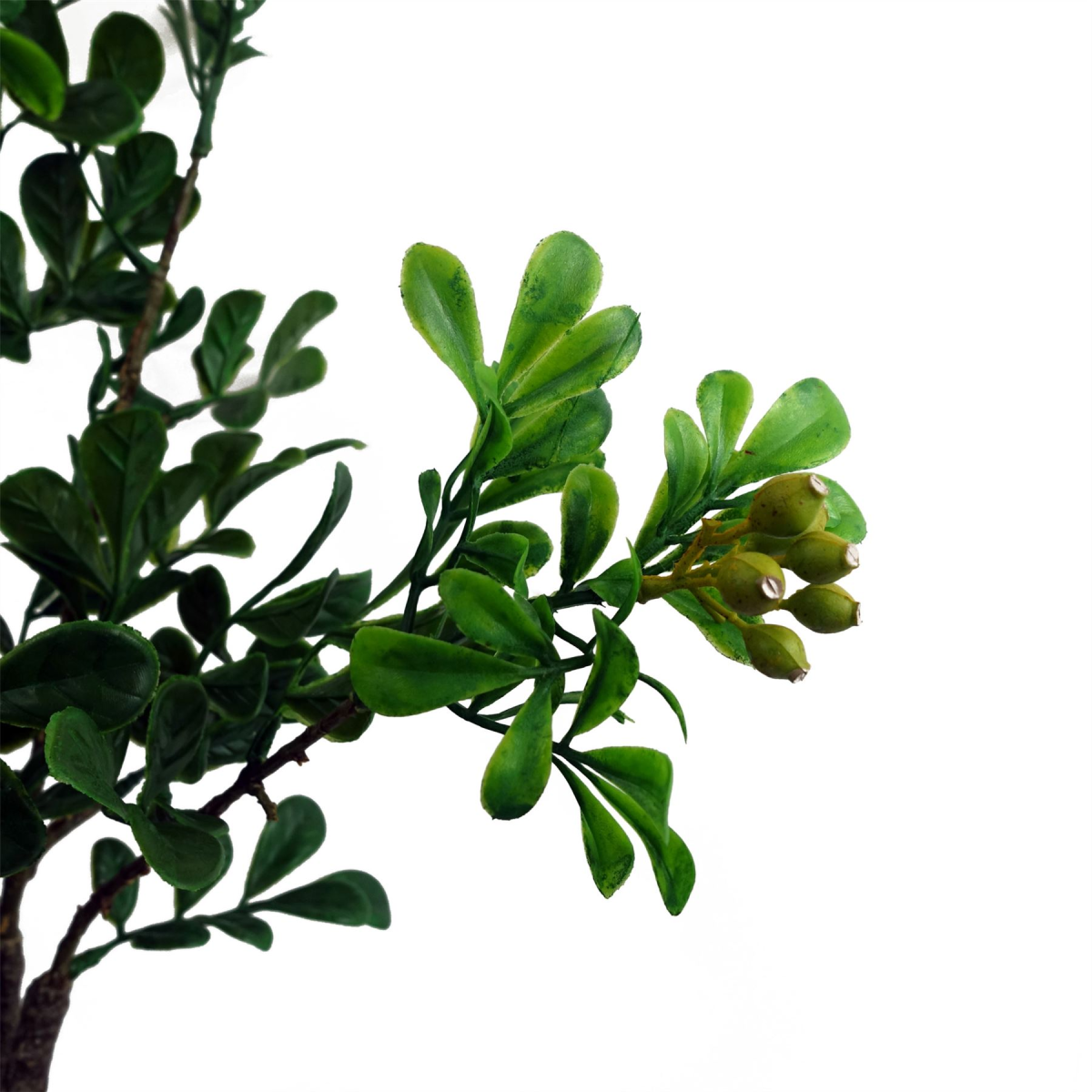 Leaf 60cm Artificial Aglaia Odorata Bonsai Ficus Tree with Plastic Pot