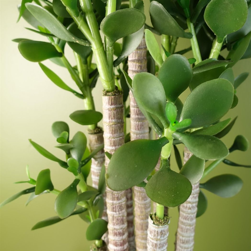 Leaf Artificial Deluxe 75cm Green Jade Plant in Weighted Plastic Pot