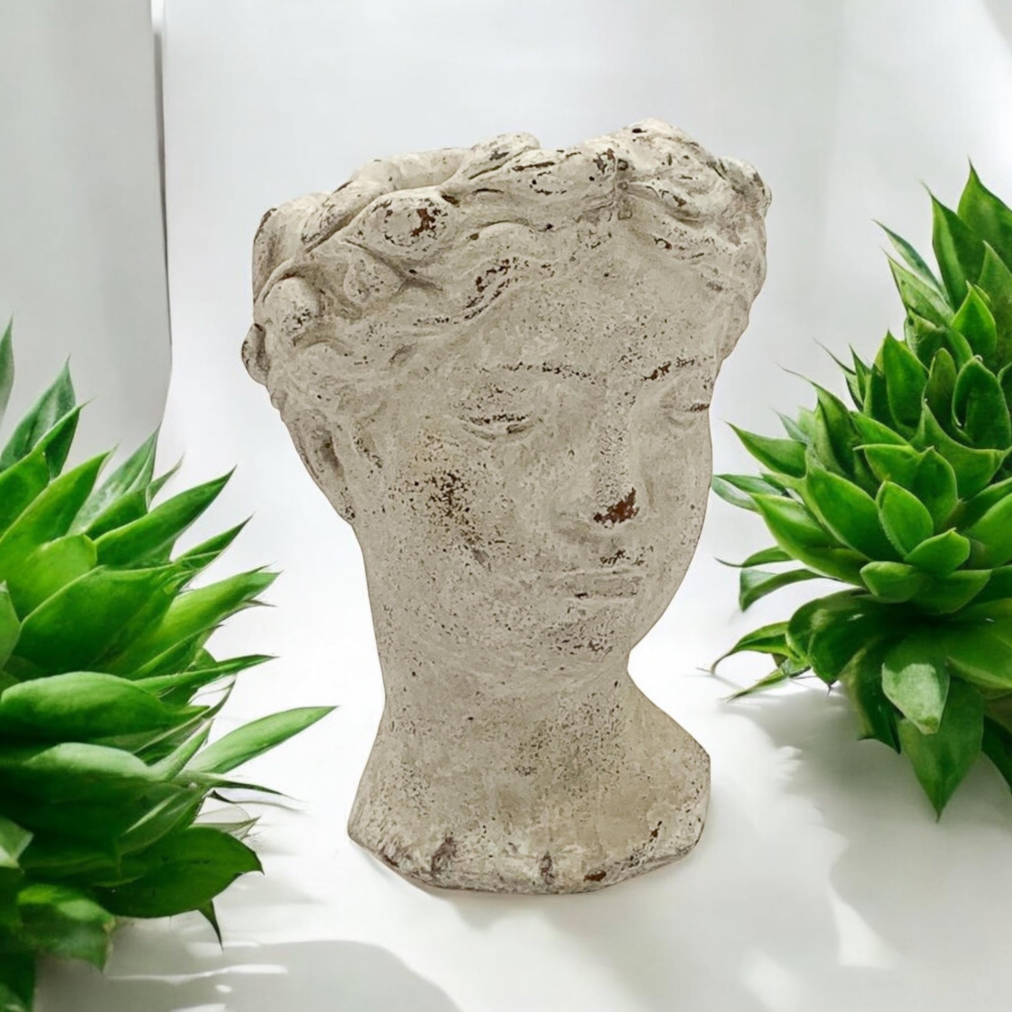 MSL 35cm Cream Cement Bust Pot