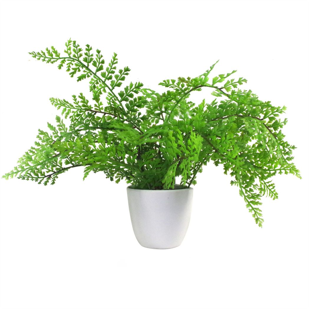 Leaf 30cm Artificial Potted Royal Fern in Weighted Plastic Pot