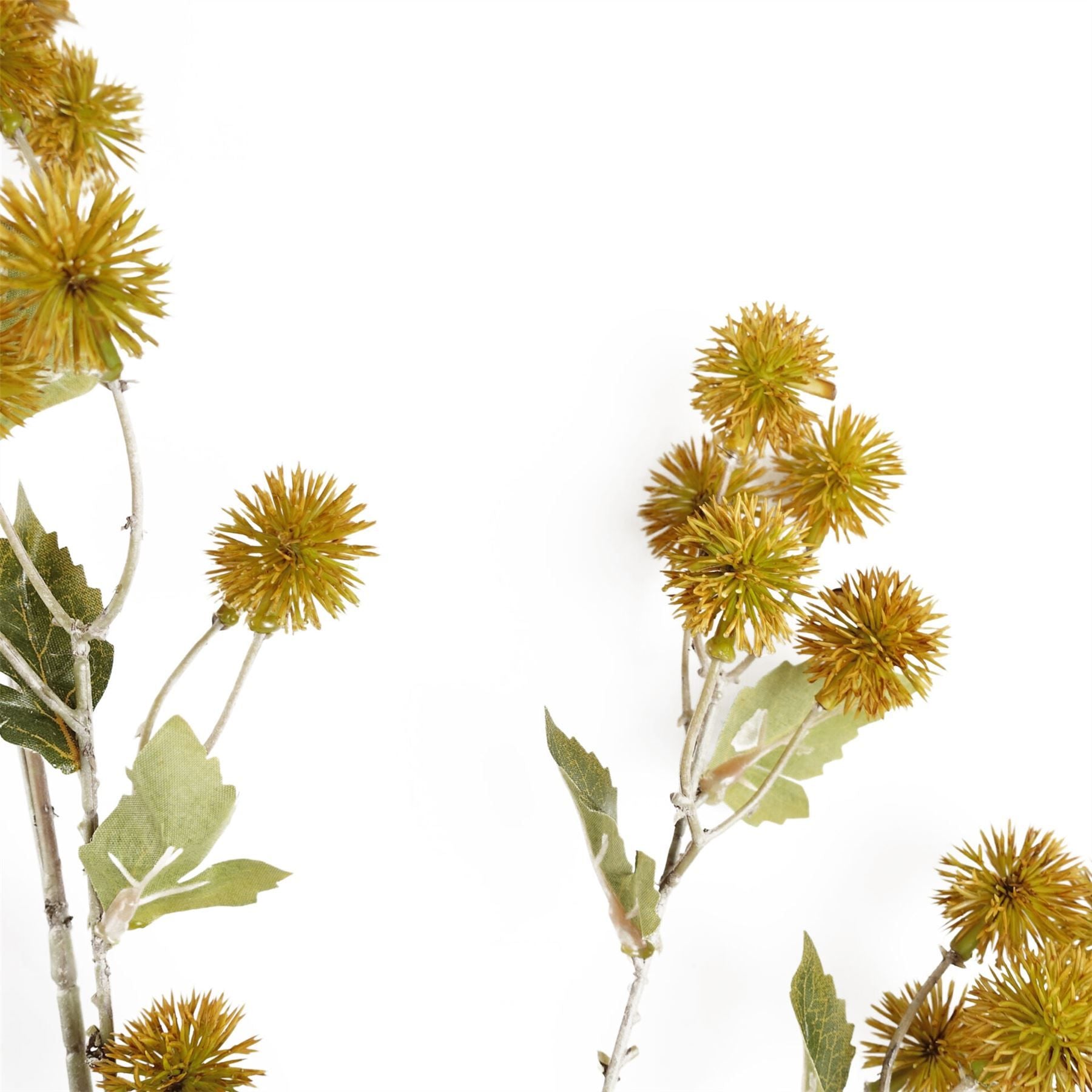 Leaf Pack of 6 85cm Yellow Artificial Craspedia Stems
