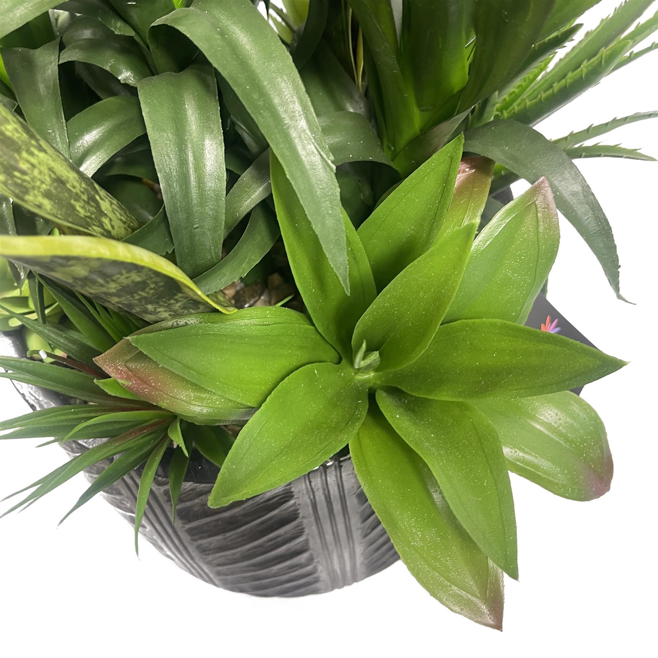 107cm Artificial Yucca Display in Decorative Pot