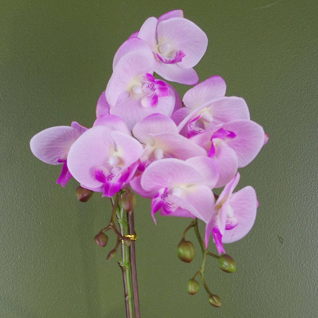 50cm Realistic Artificial Phalaenopsis Orchid, Light Pink, in Silver Honeycomb Pot