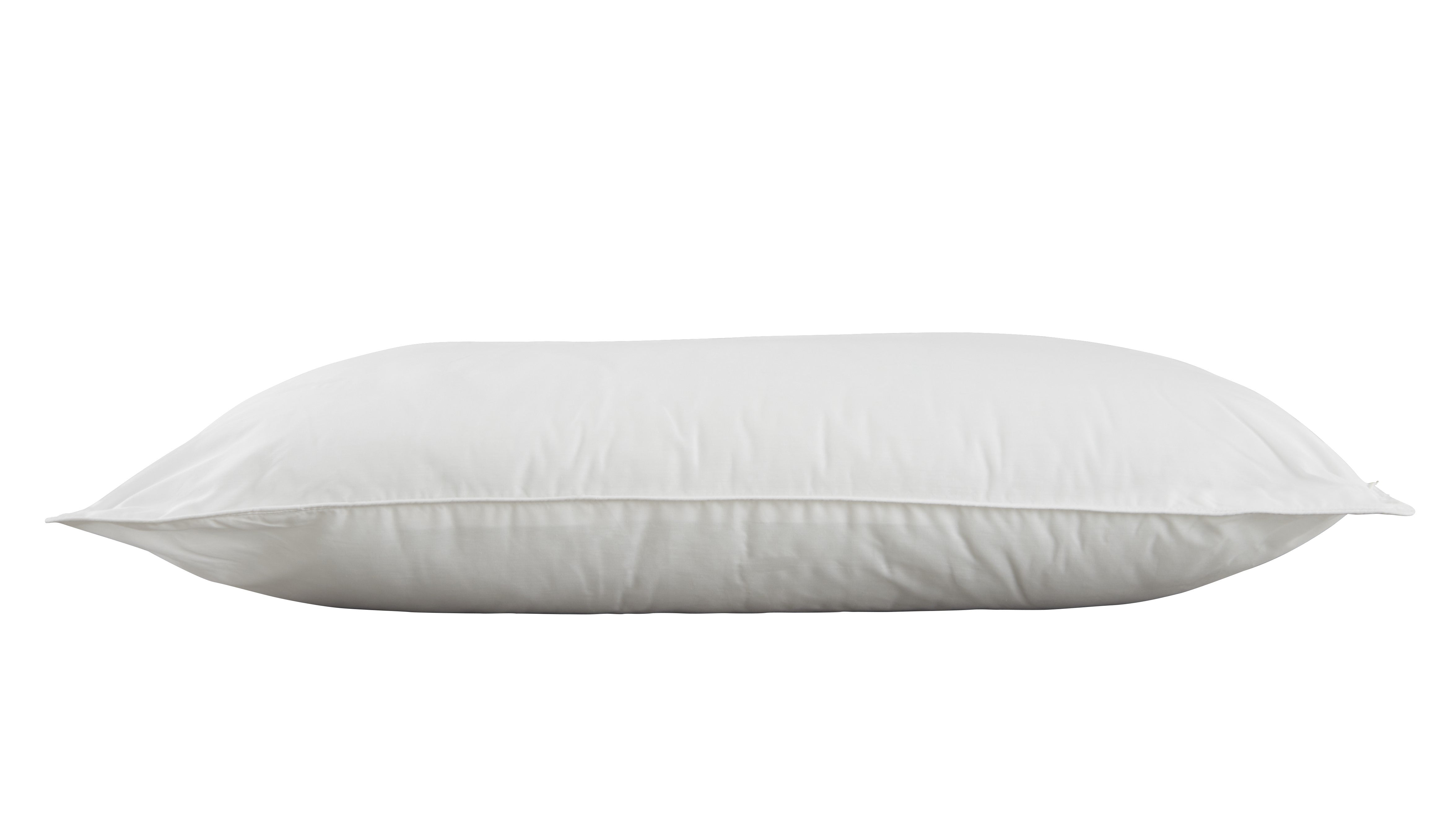 Harwoods Hollowfibre Pillow Pair with 100% Cotton Case and Piped Edge