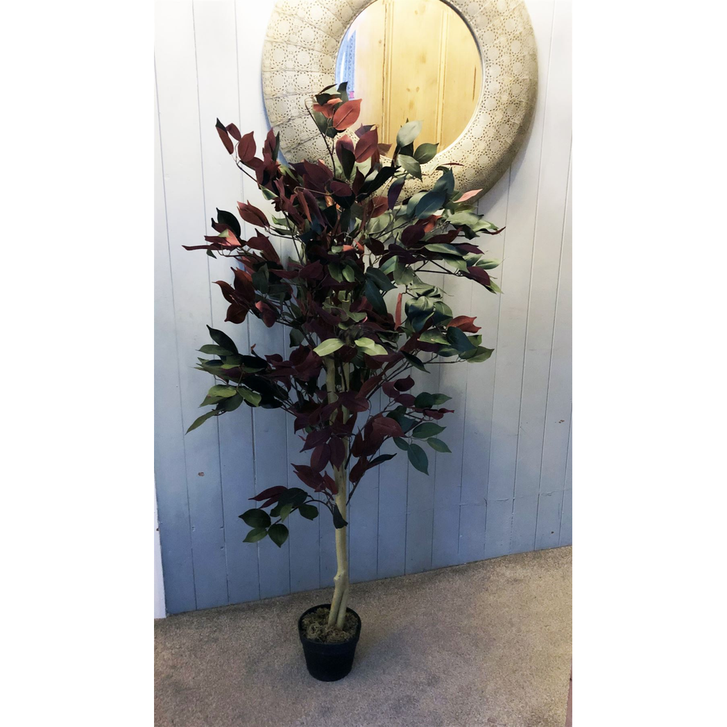 120cm Artificial Capensia Style Tree with Red and Green Foliage and Weighted Plastic Pot