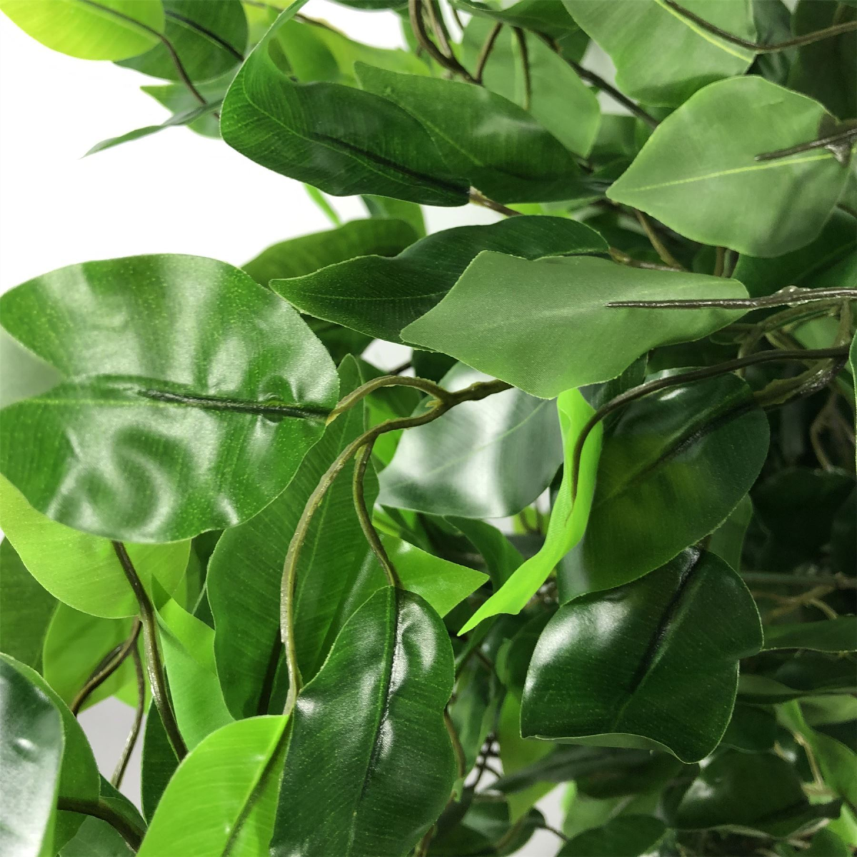 Leaf 120cm Artificial Ficus Tree with Gold Metal Planter