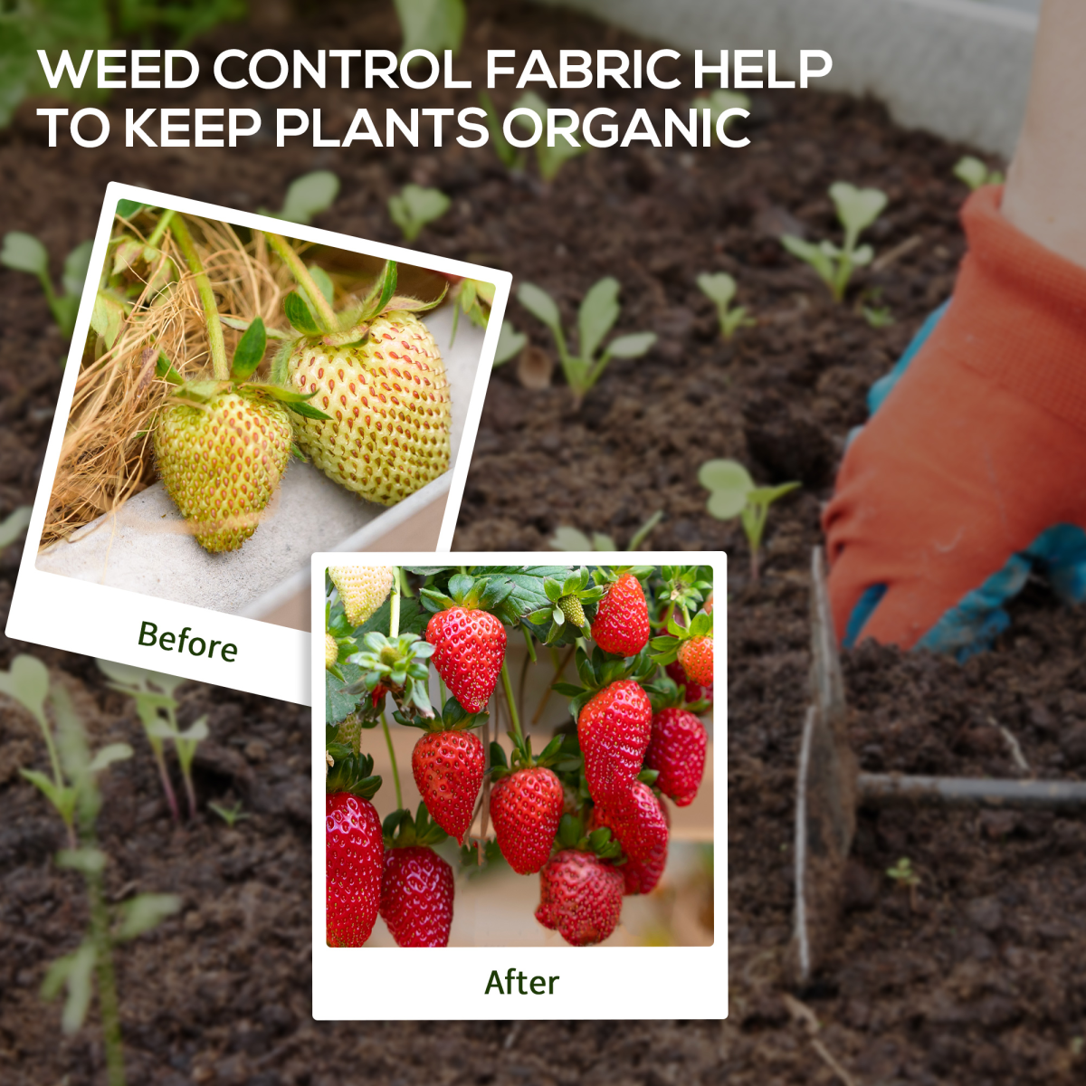 Outsunny Heavy Duty Weed Control Membrane 2 x 100m, Black