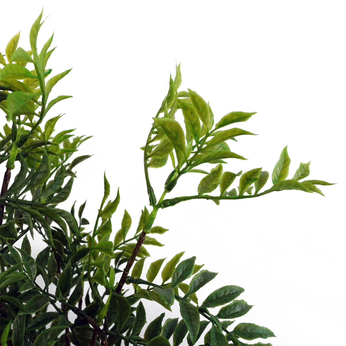 Leaf 60cm Artificial Nandina Bonsai Ficus Tree in Plastic Pot
