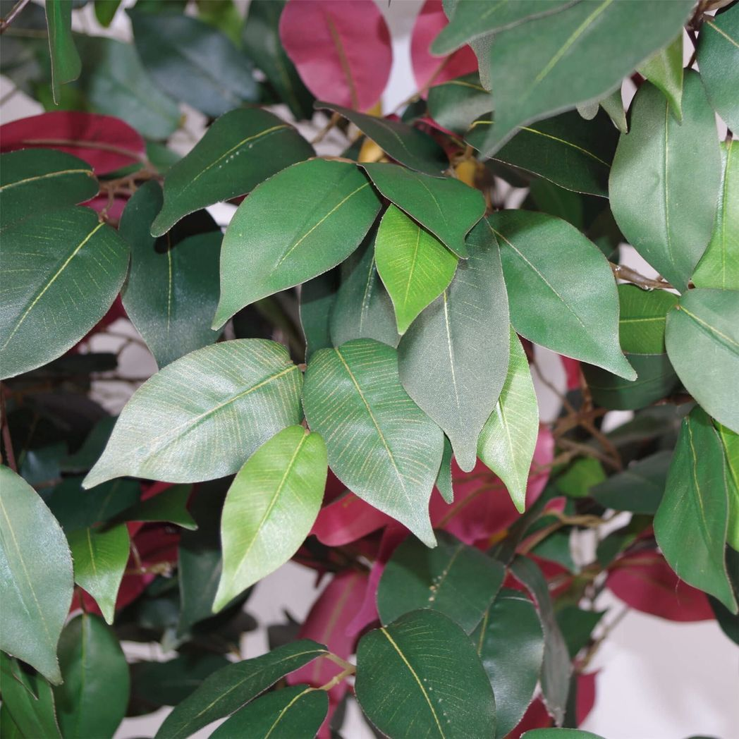 Leaf 120cm Artificial Capensia Ficus Tree Plant with Real Wood Trunk, Red and Green Foliage