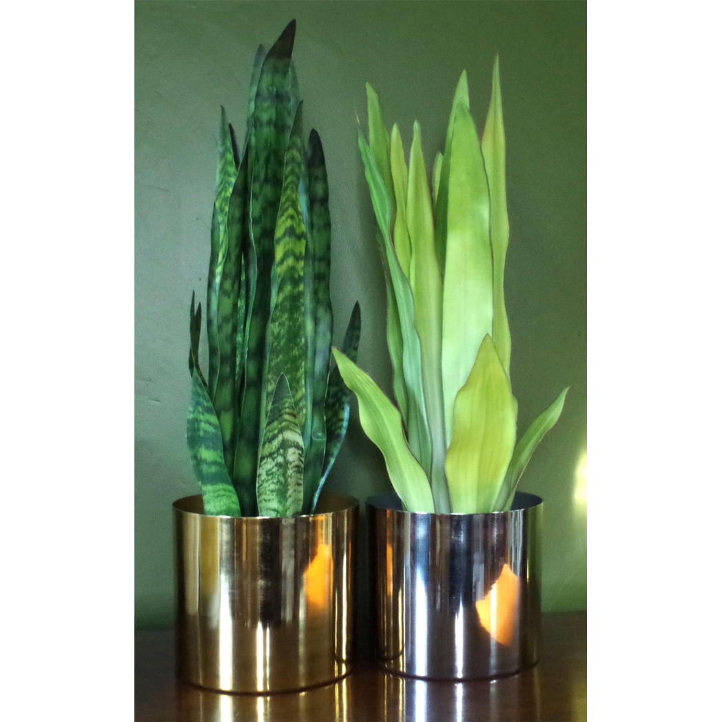 Leaf 70cm Artificial Sansevieria Zeylanica Plant in Black Plastic Pot