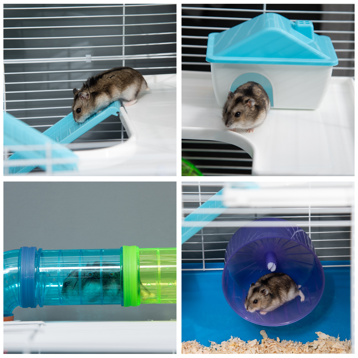 PawHut Five-Level Hamster Cage with Tubes, Water Bottle, Exercise Wheel, Ramps, Hut and Food Dish, Blue