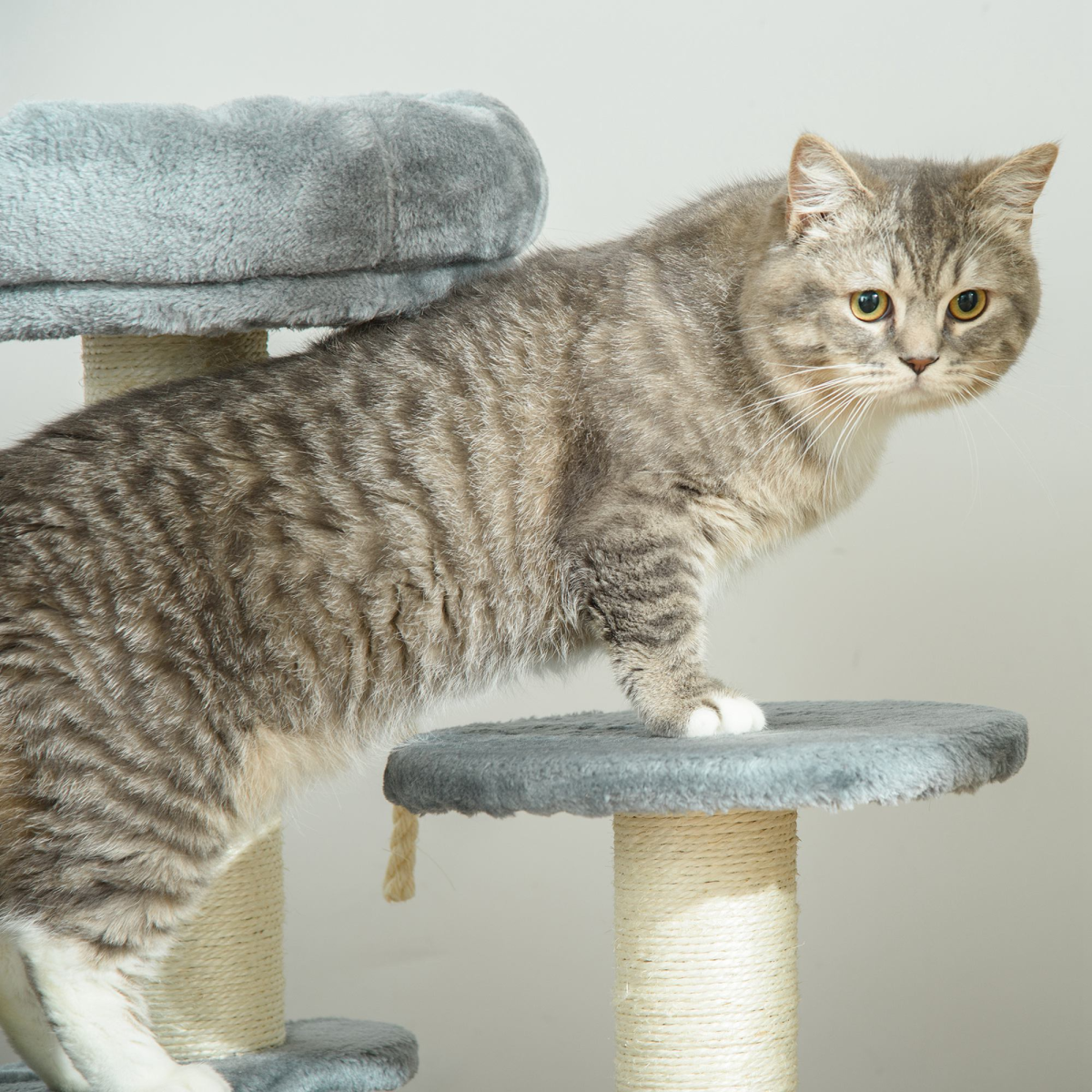 PawHut Cat Tree Scratcher Activity Center with 2 Perches, Scratching Posts and Hanging Sisal Rope