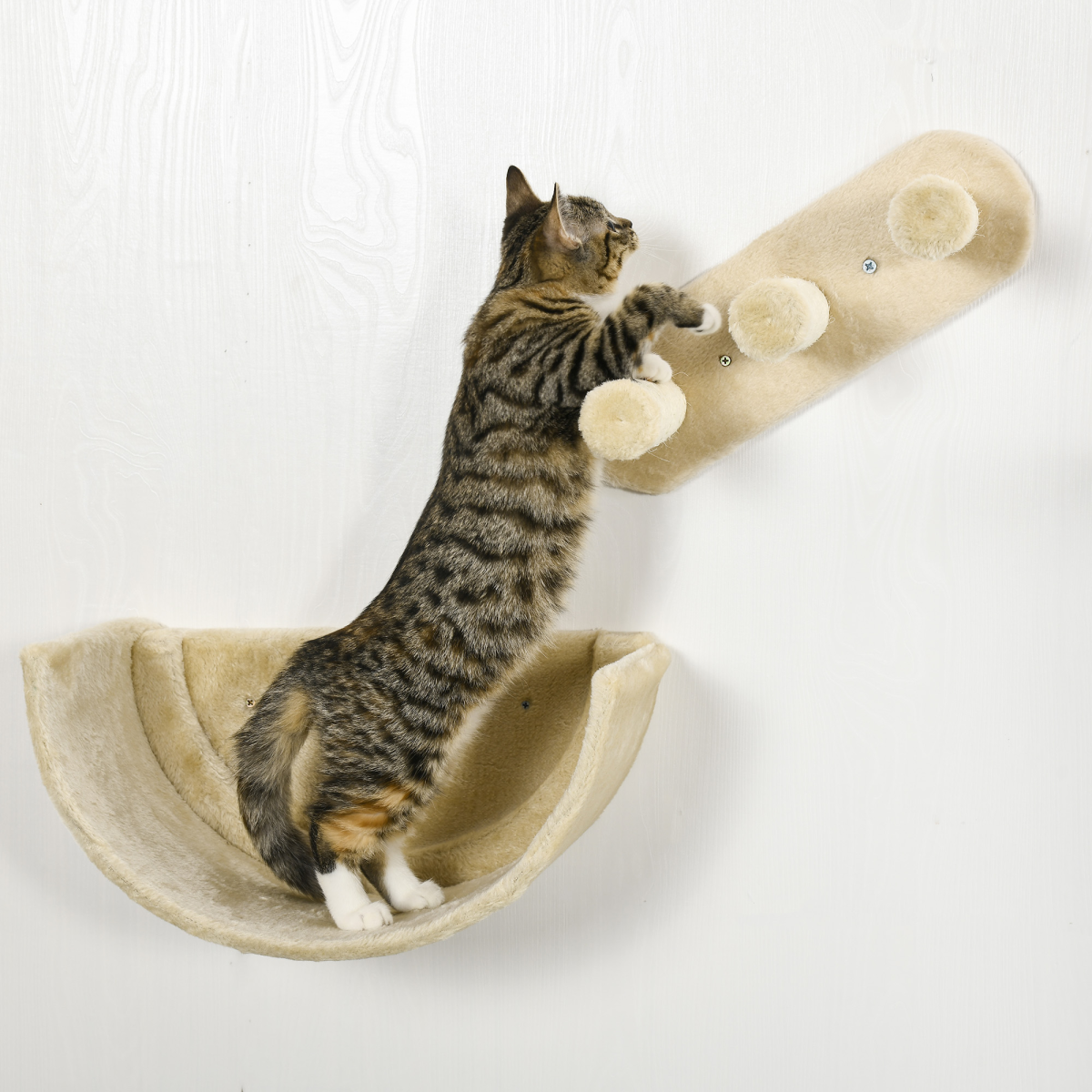 Wall-Mounted Cat Shelves with Hammock, Nest and Scratching Posts - Beige
