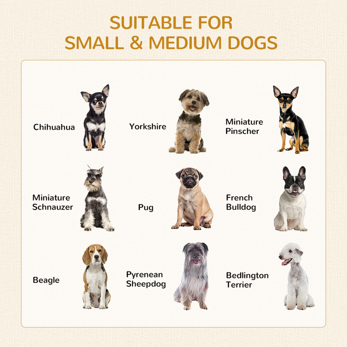 Double Door Dog Crate Furniture Side Table for Medium Dogs, Grey