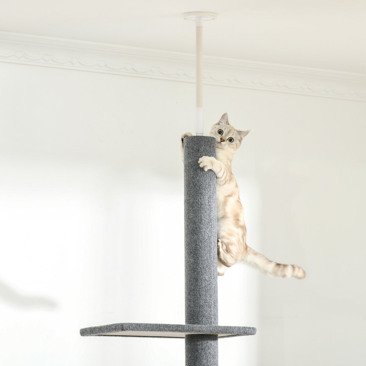 260cm Floor to Ceiling Cat Tree, Adjustable Height Cat Tower, Grey
