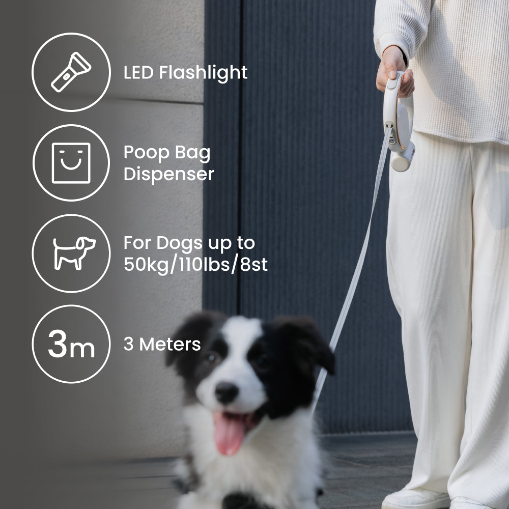 Lumi Leash (4-in-1 Reflective Leash with LED Torch & Poop Bag Dispenser)