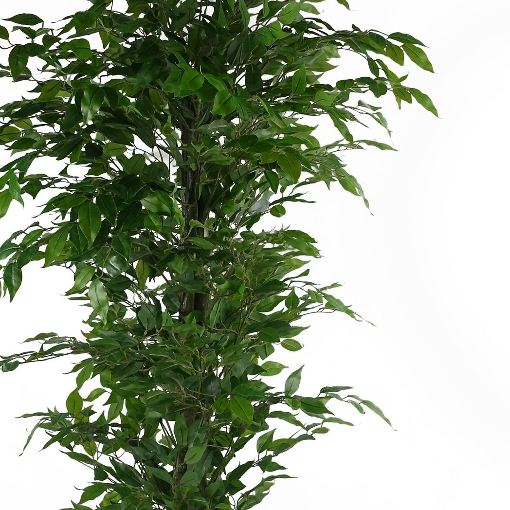 Leaf 180cm Realistic Artificial Green Ficus Tree in Black Plastic Pot