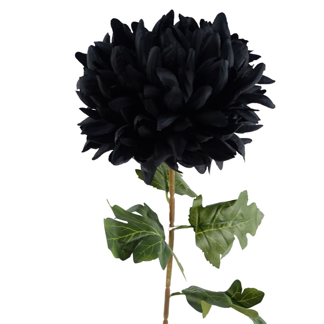 Leaf Pack of 6 Black Extra Large Reflex Chrysanthemum Silk Flower Stems 75cm