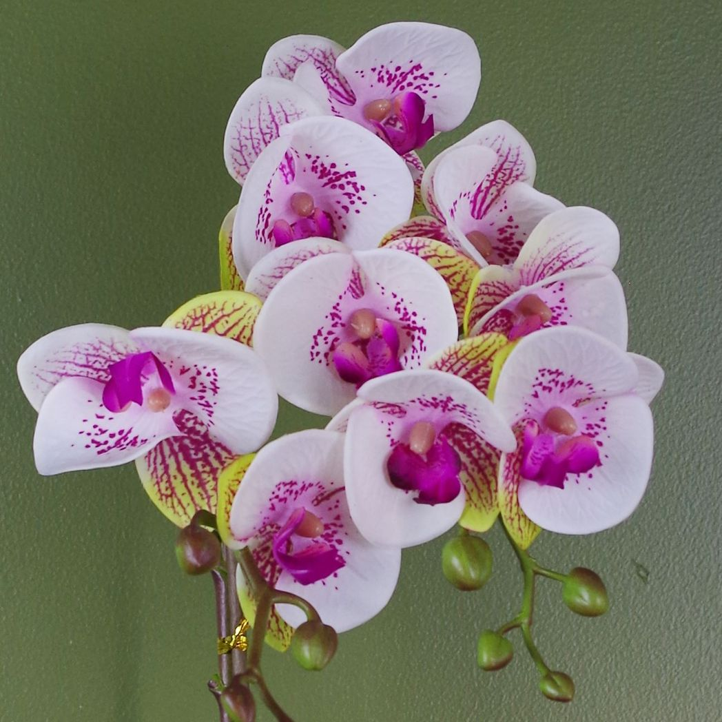 48cm Pink Artificial Orchid with Real Touch Leaves and Flowers in Gold Pot