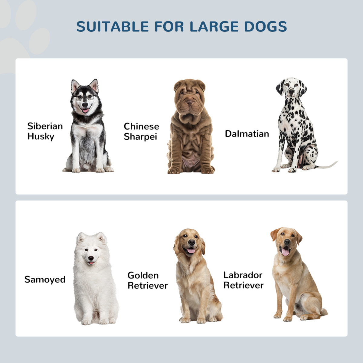 Raised Dog Bowls for Large Dogs Feeding Station Stand, Storage - Pawhut