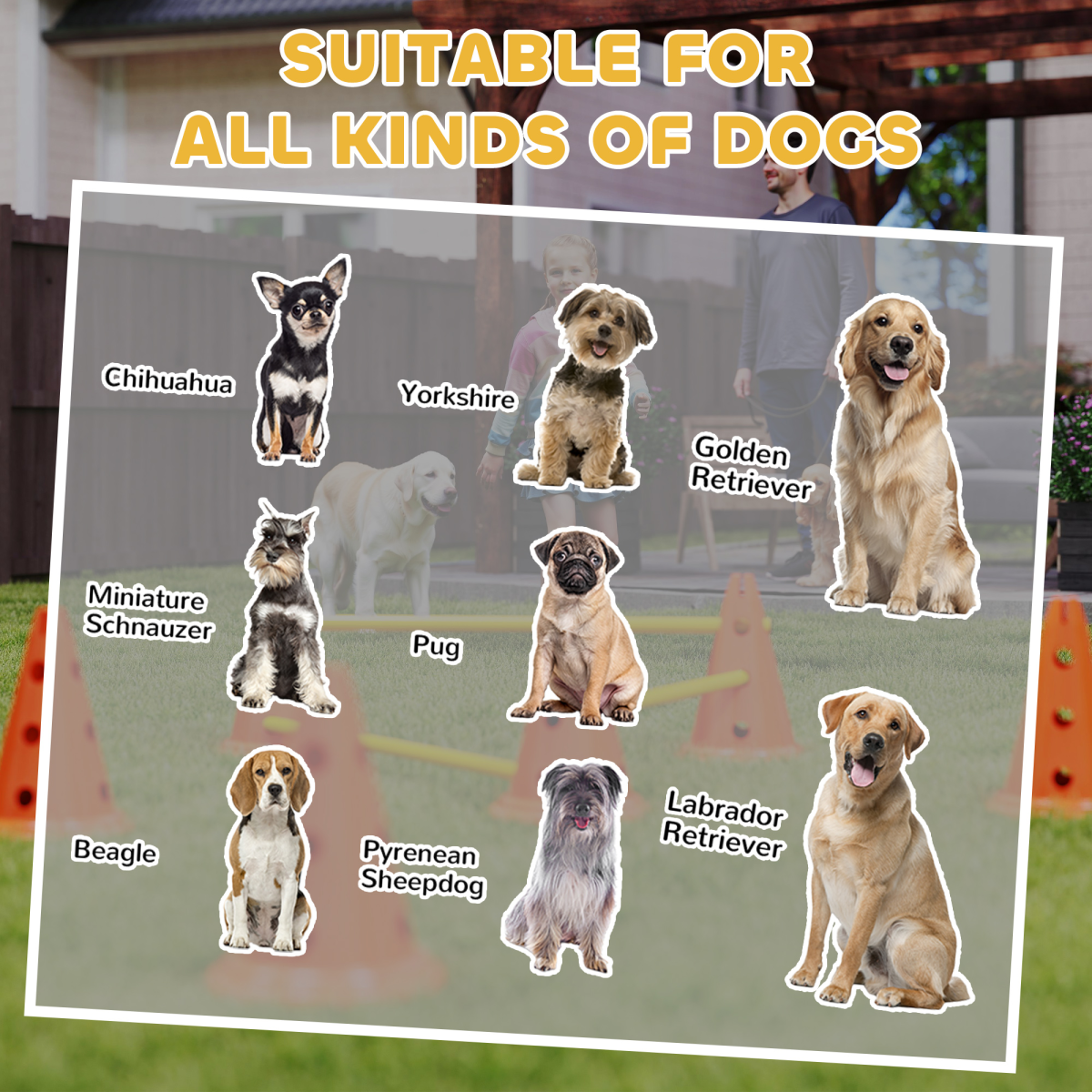 PawHut 3-Piece Adjustable Dog Agility Jump Set Training Obstacles