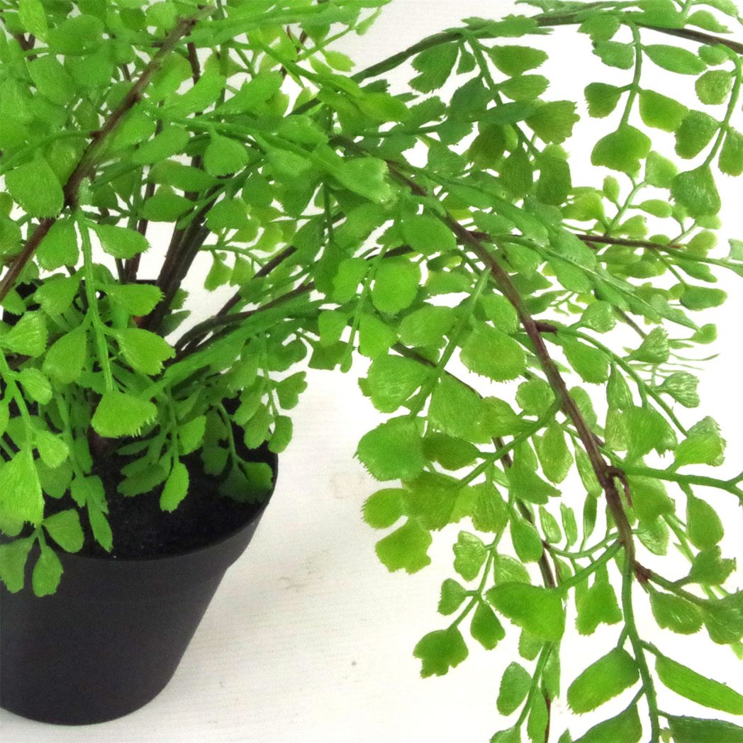 Leaf 35cm Artificial Potted Maiden Fern Plant