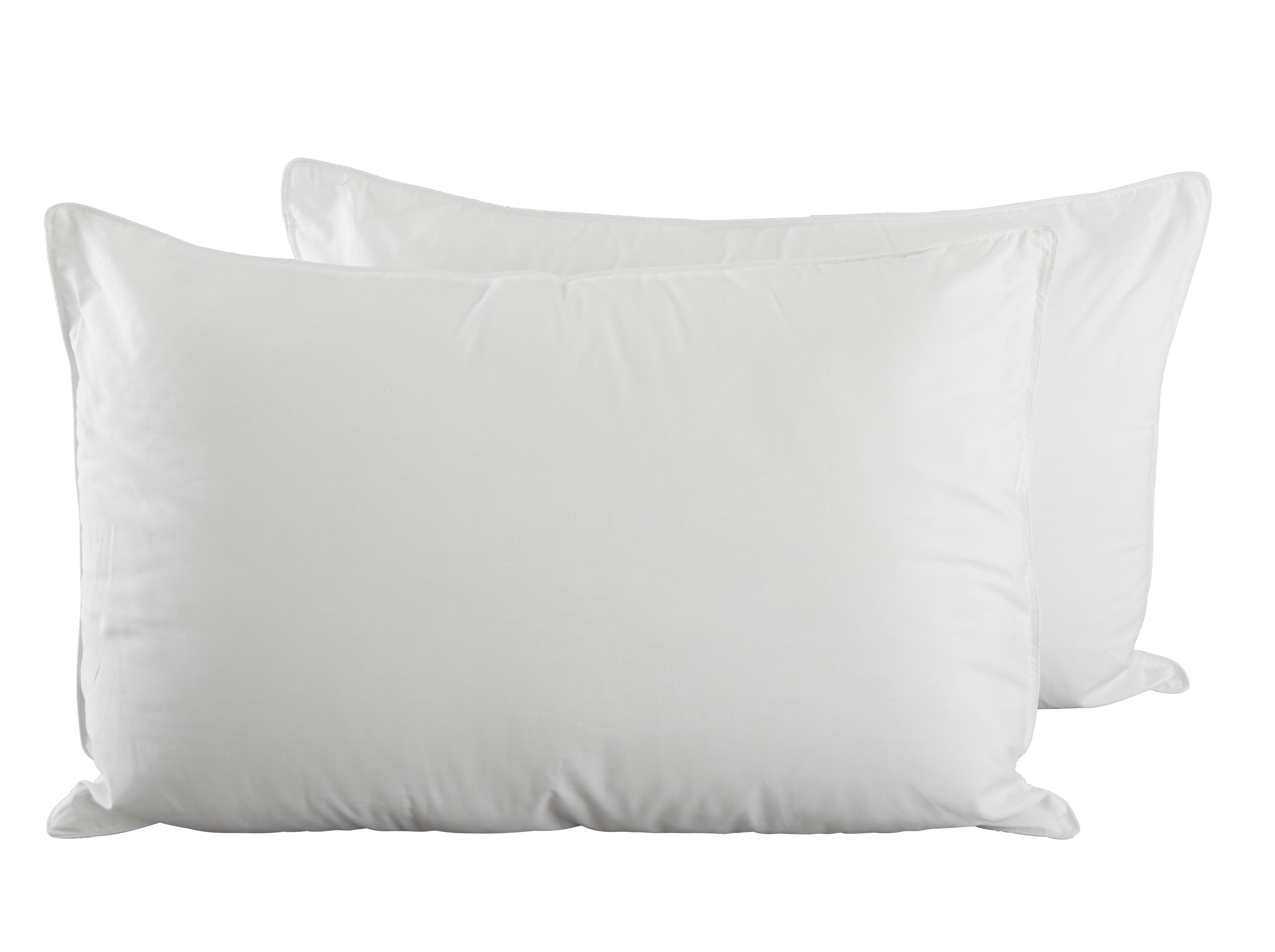 Harwoods Hollowfibre Pillow Pair with 100% Cotton Case and Piped Edge