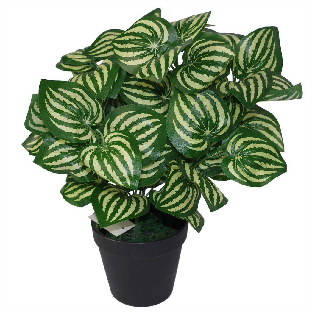 Leaf 45cm Artificial Watermelon Style Leaves Plant in Black Plastic Pot