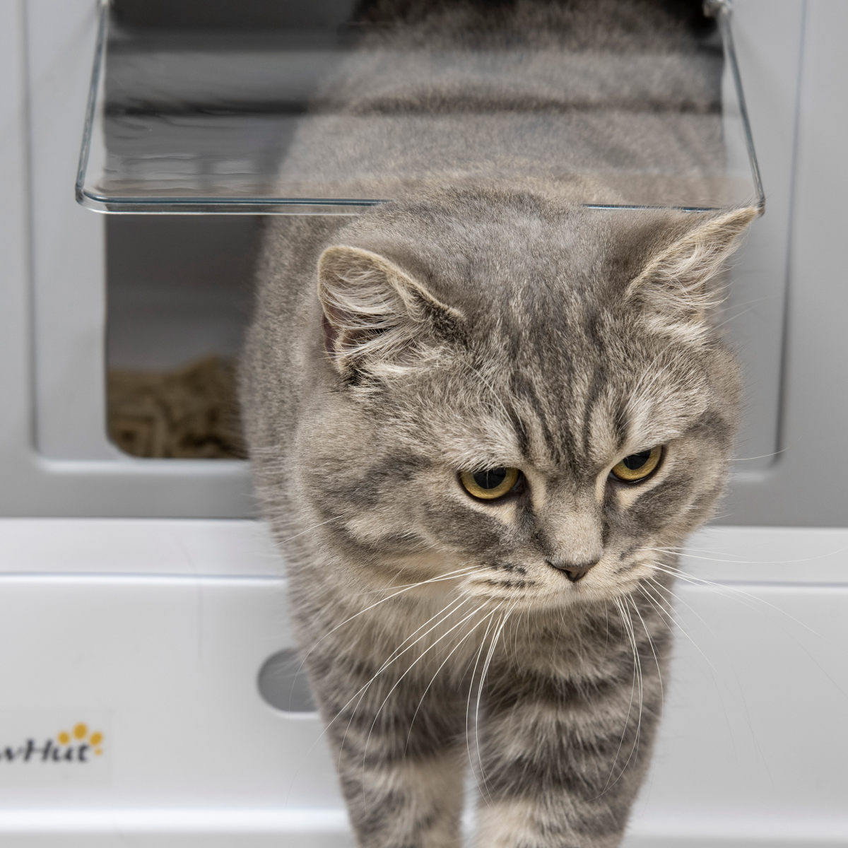 Hooded Cat Litter Box with Scoop and Tray, Portable Pet Toilet, Grey