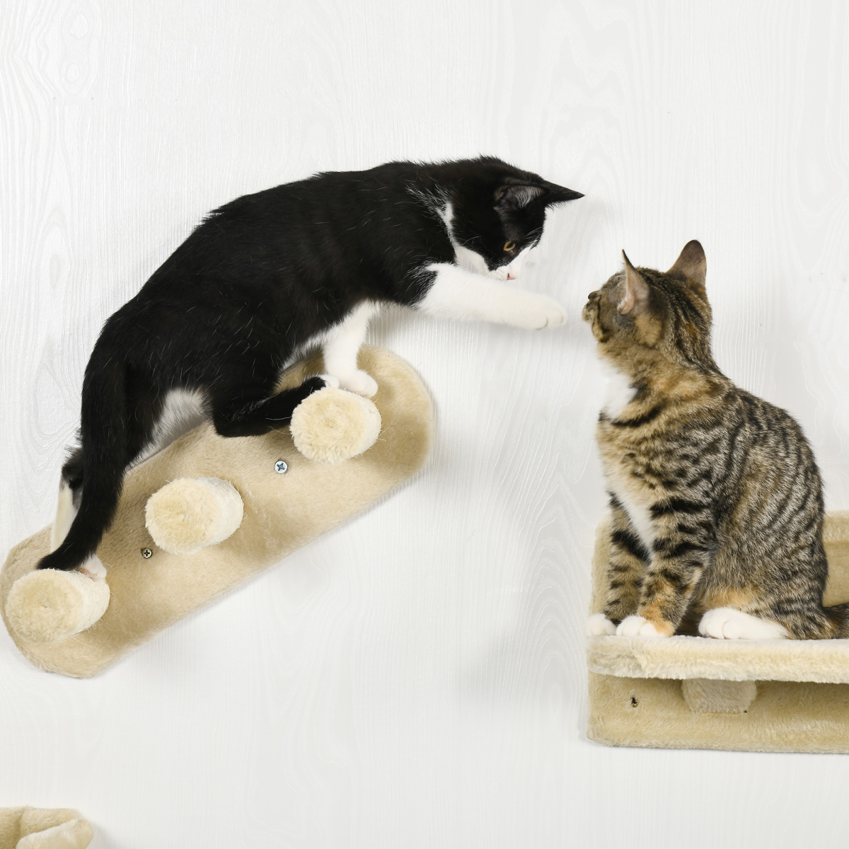 Wall-Mounted Cat Shelves with Hammock, Nest and Scratching Posts - Beige