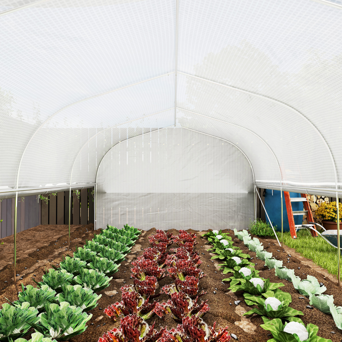 Outsunny Polytunnel Greenhouse with Roll-Up Sidewalls, Mesh Door, 595 x 300 x 200 cm