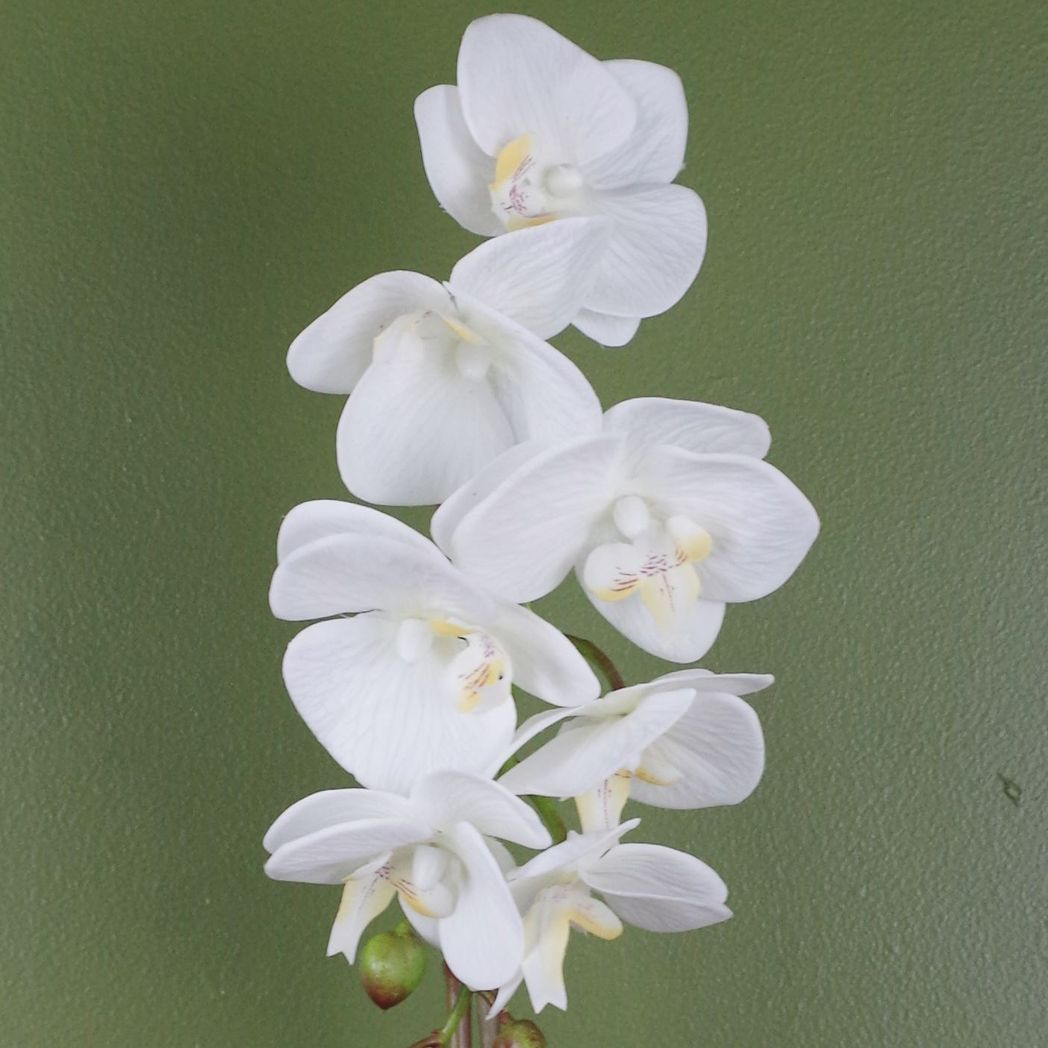 Leaf 46cm White Artificial Orchid in Decorative Pot with Fixed Gravel, 7 Flowers