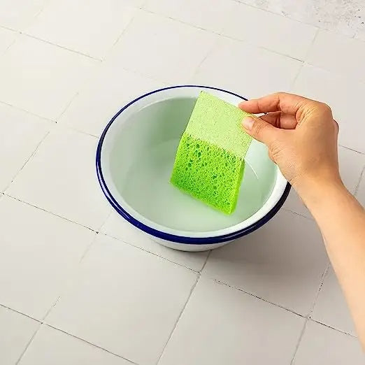 Re:gn Magic Compressed Plant-Based Sponges (5-Pack)