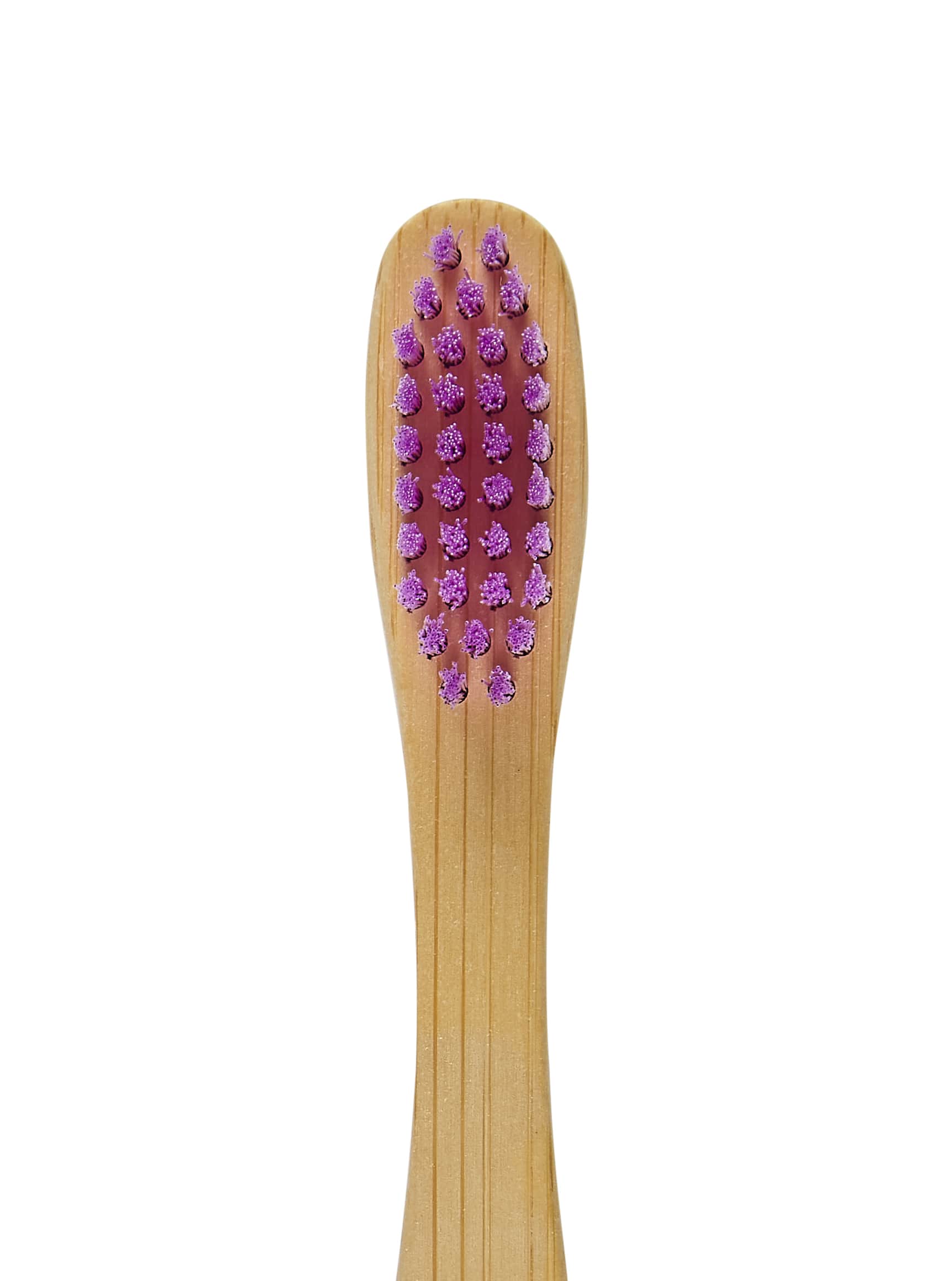 Toothbrush bristles in purple