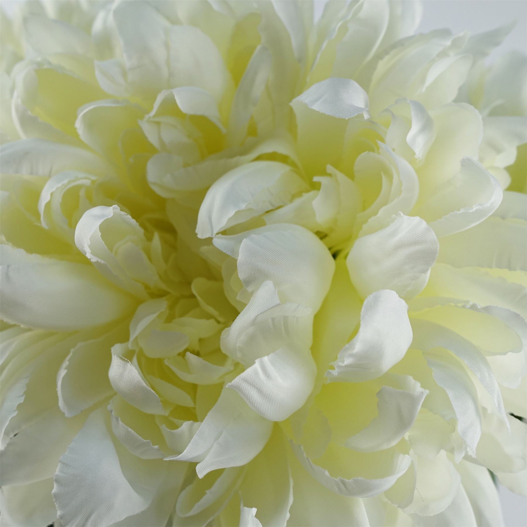 Leaf 75cm Extra Large White Reflex Chrysanthemum Silk Flower Stem