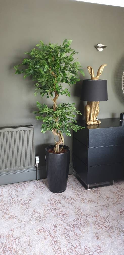 Leaf Design UK 150cm Artificial Twisted Ficus Tree in Weighted Pot