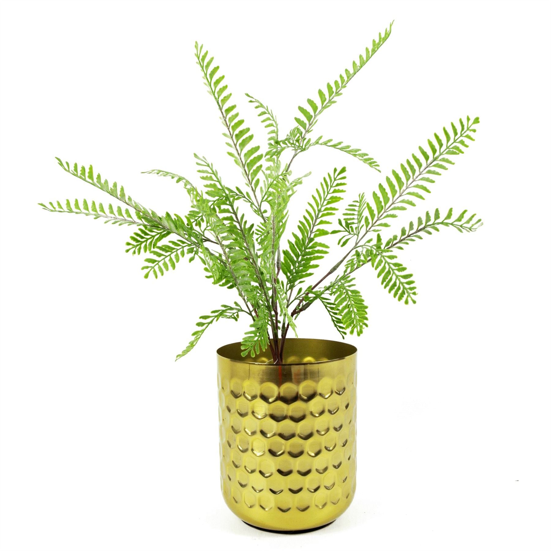 Leaf 55cm Himilayan Maidenhair Fern Bush Light Green Artificial Plant