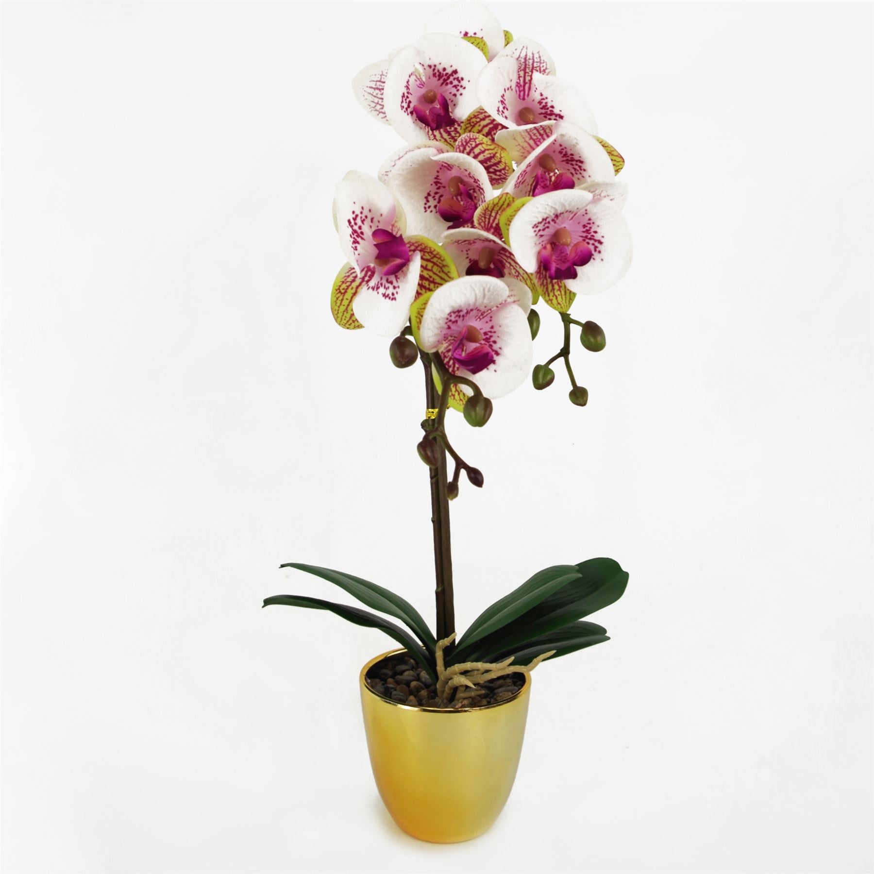 Leaf 48cm Artificial Harlequin Orchid with 9 Real Touch Flowers in Decorative Pot