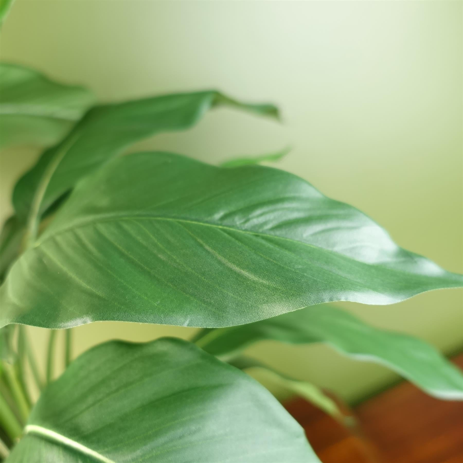 Leaf Artificial White Peace Lily Spathiphyllum in Weighted Pot, 60cm Tall