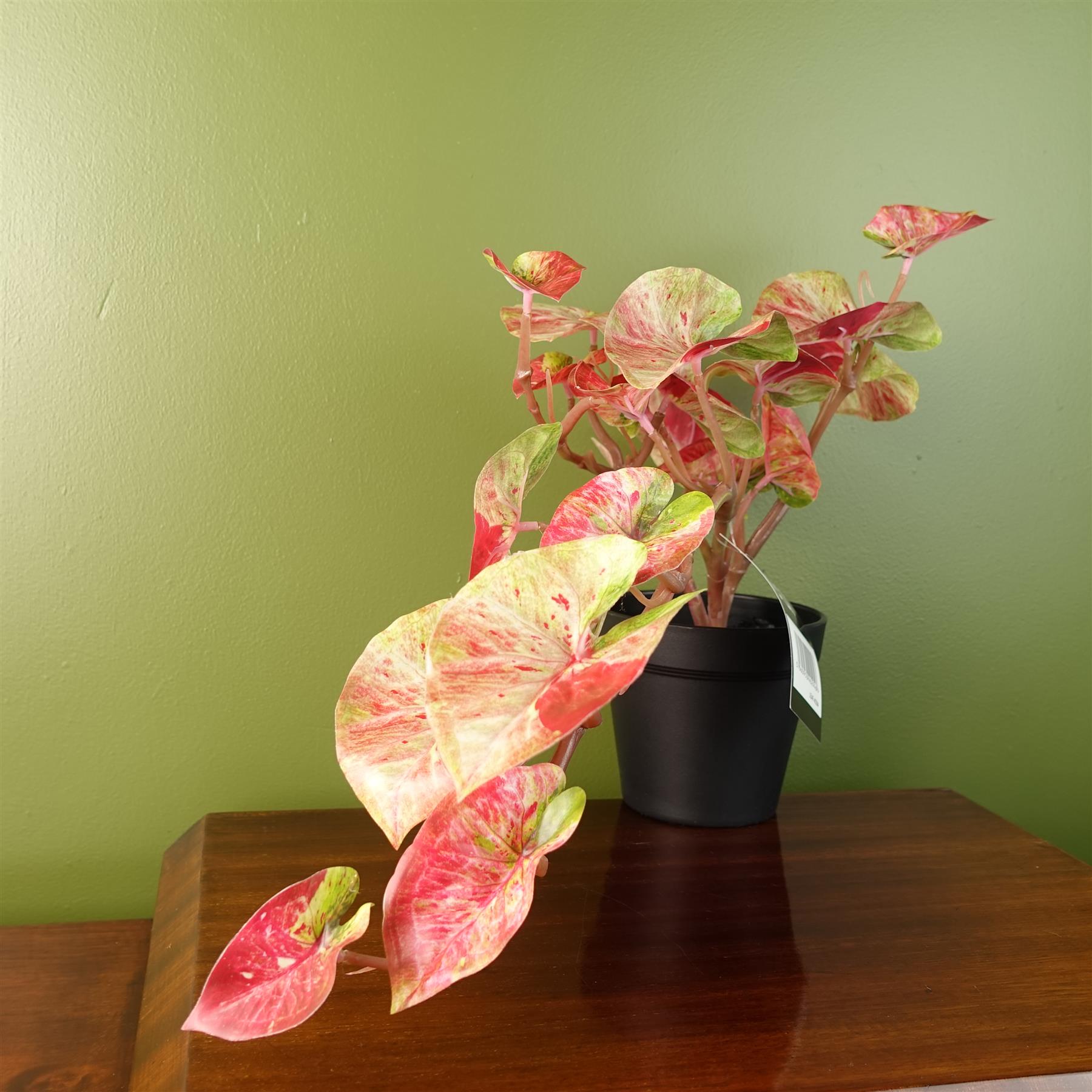 Leaf 35cm Artificial Trailing Hanging Alocasia Plant in Black Pot