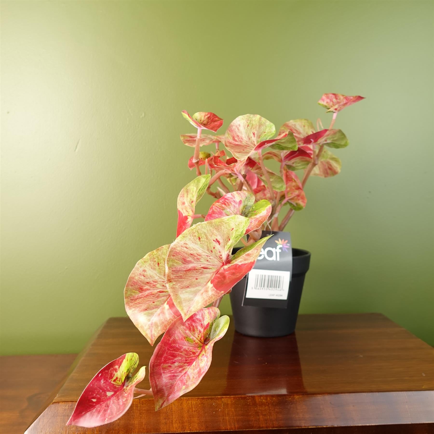 Leaf 35cm Artificial Trailing Hanging Alocasia Plant in Black Pot