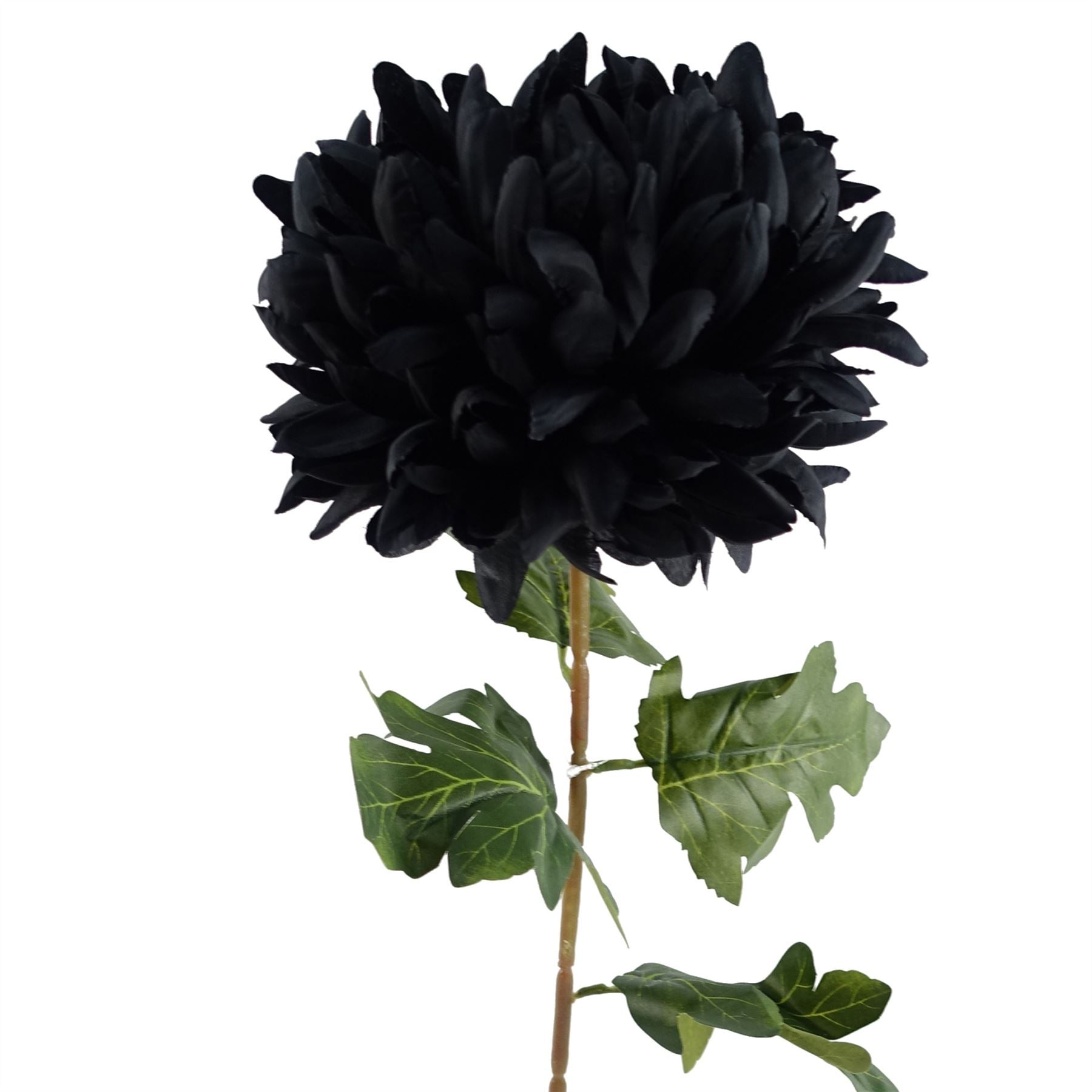 Leaf 75cm Extra Large Black Silk Reflex Chrysanthemum Artificial Flower Stem
