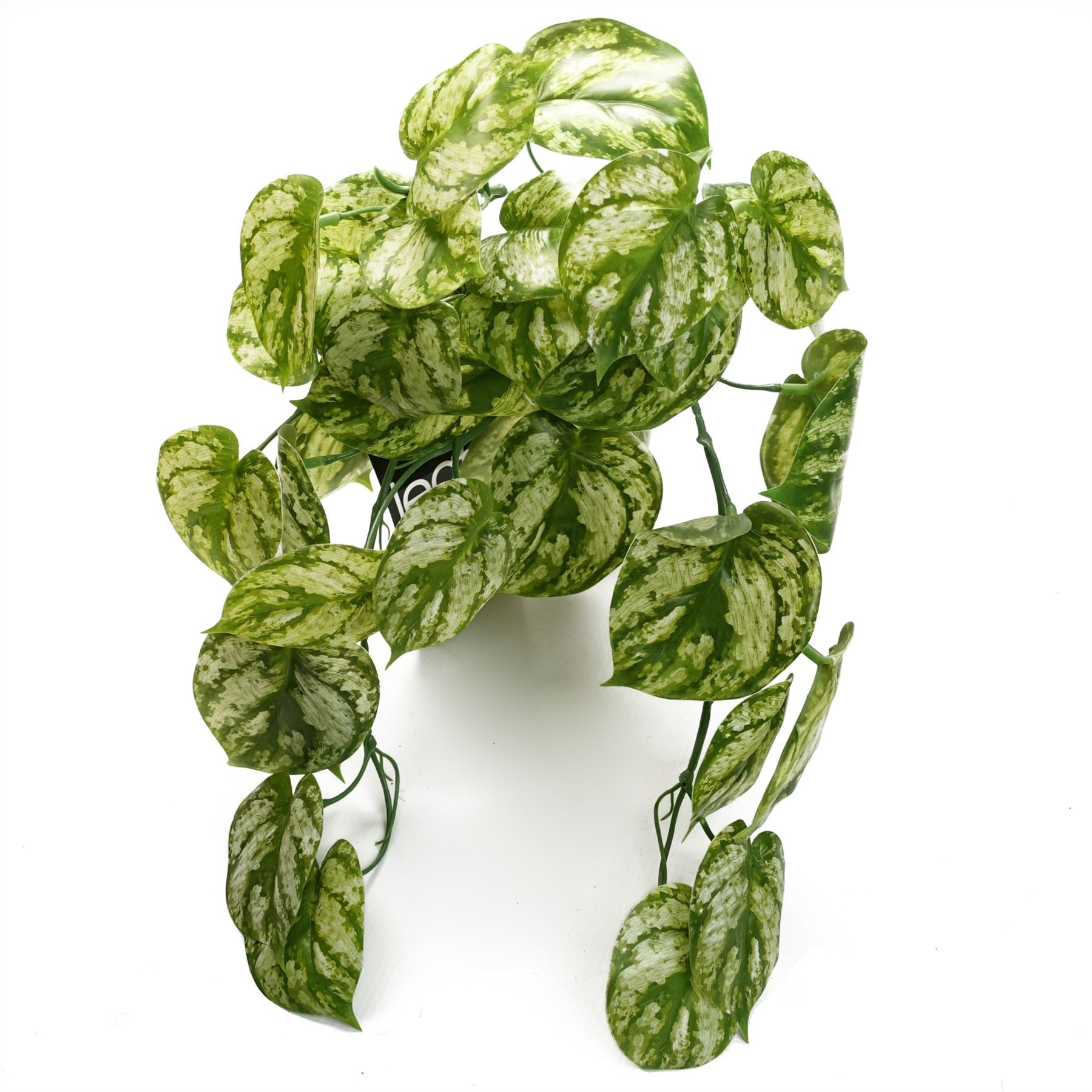 Leaf 35cm Artificial Trailing Light Green Plant Bare Stem