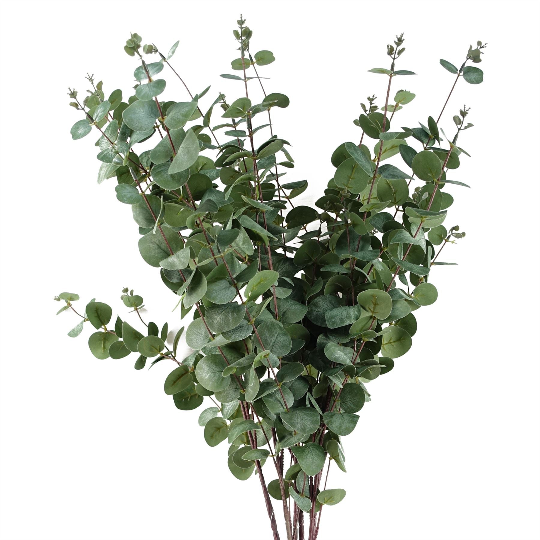 Pack of 6 Artificial Eucalyptus Foliage Stems 100cm with Silk Leaves