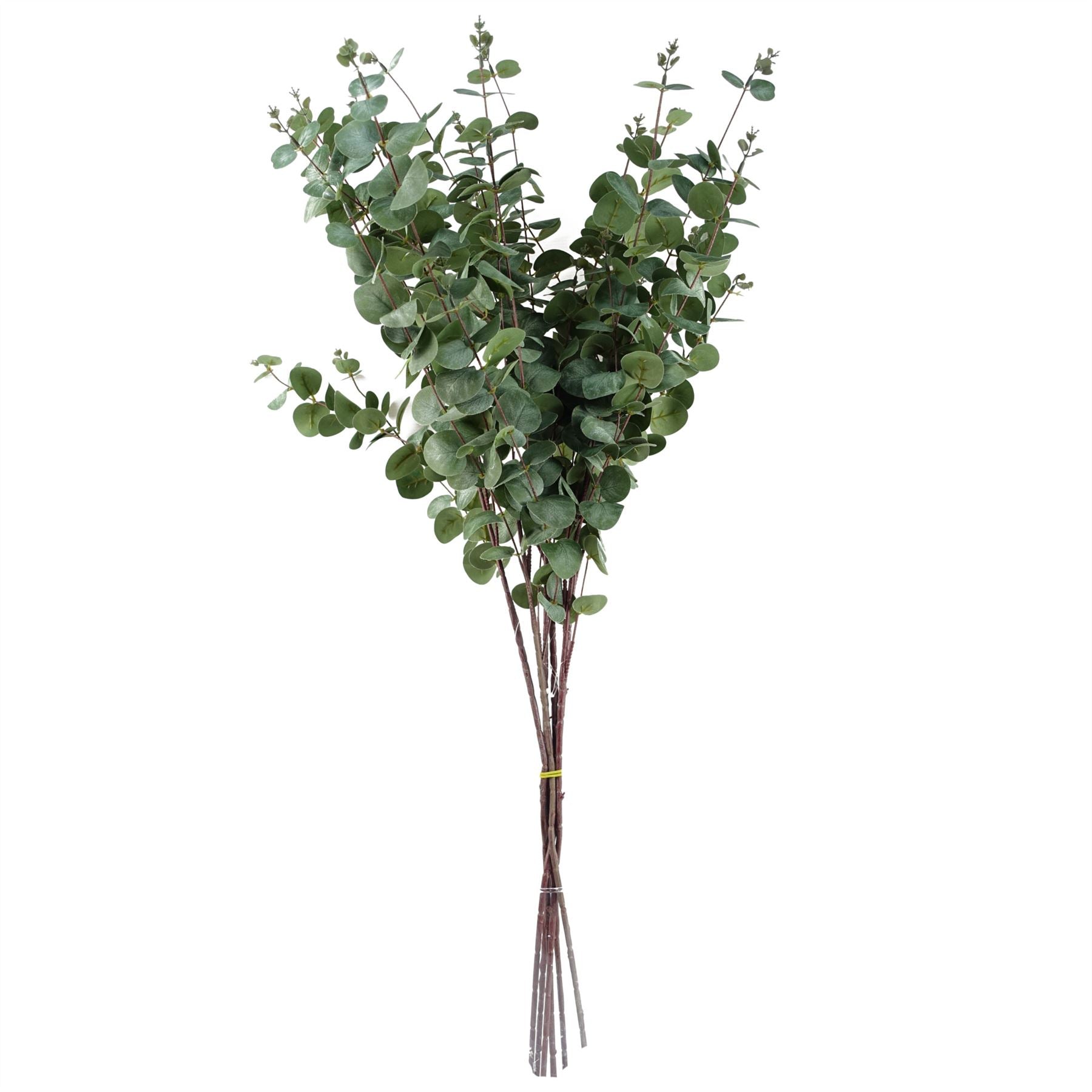 Pack of 6 Artificial Eucalyptus Foliage Stems 100cm with Silk Leaves