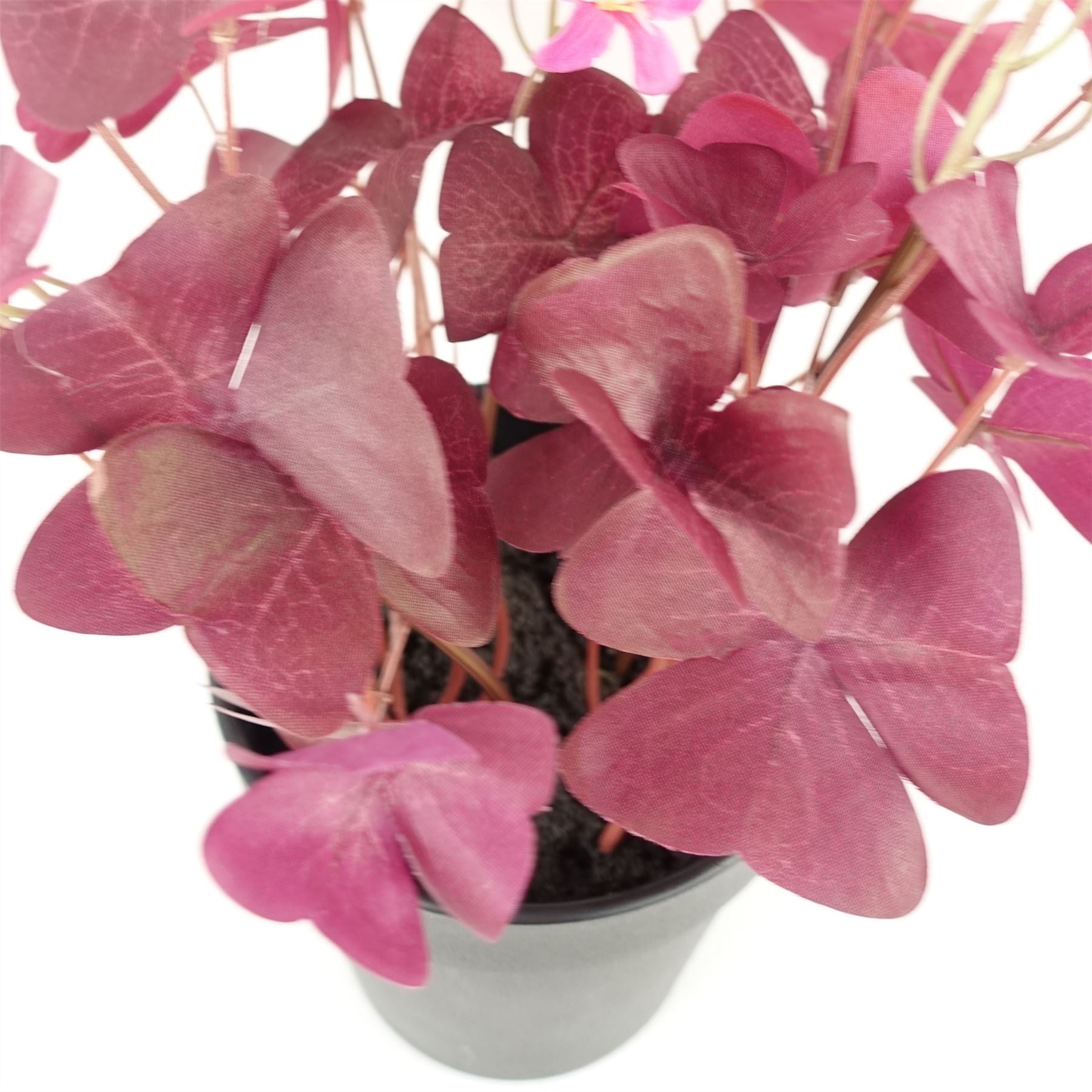 Leaf Artificial Purple Shamrock Plant in Black Plastic Pot, 30cm Tall