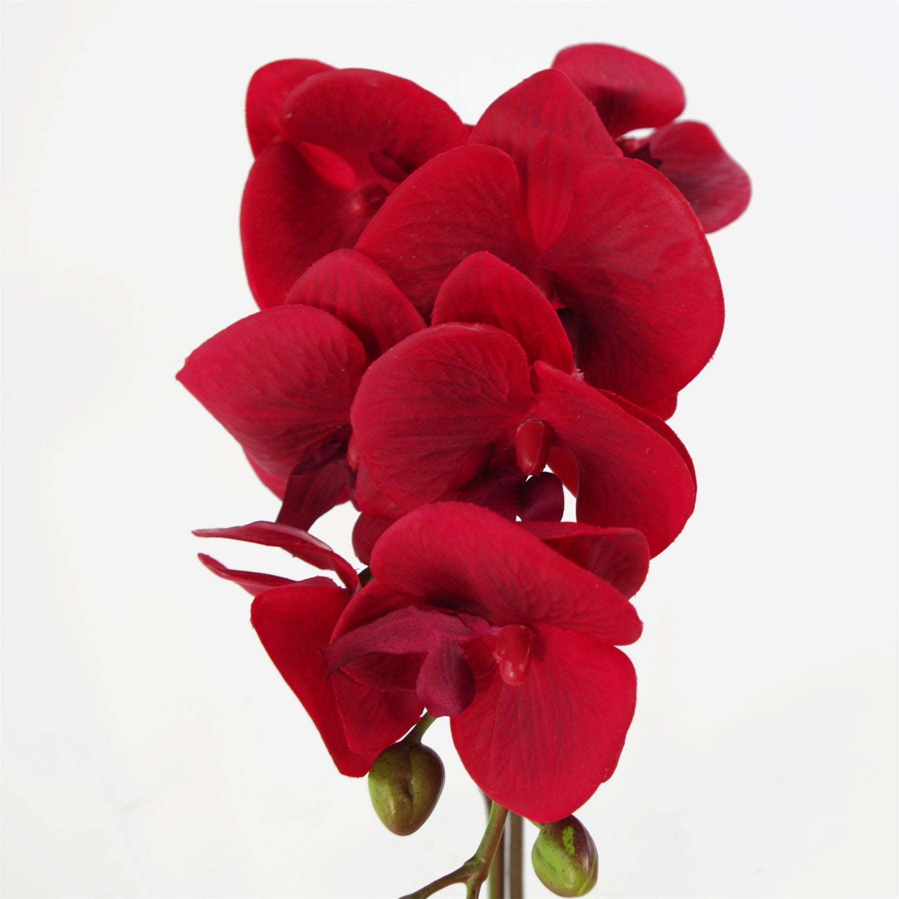 Leaf 46cm Artificial Red Orchid with Real Touch Leaves, 7 Flowers and Silver Pot