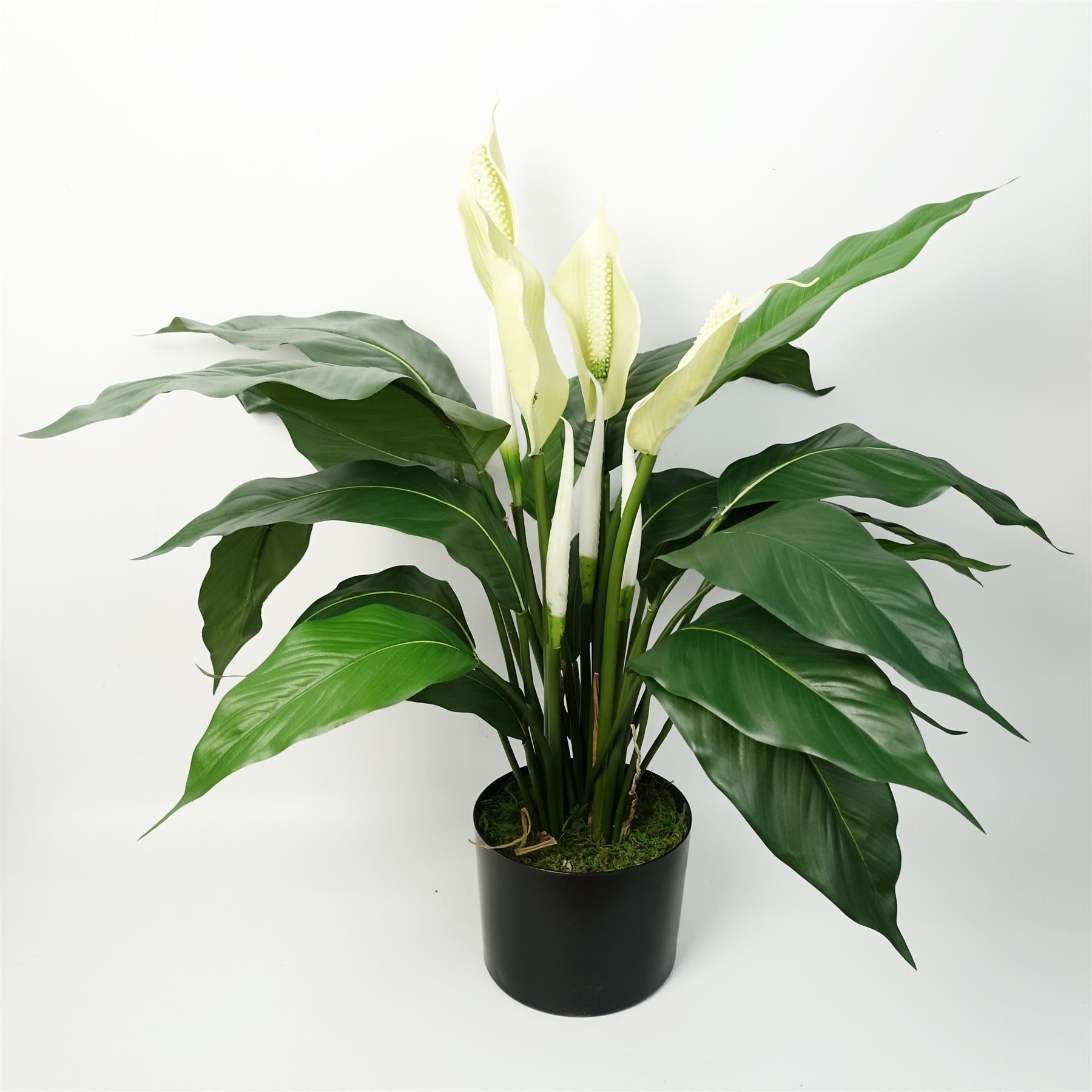Leaf Artificial White Peace Lily Spathiphyllum in Weighted Pot, 60cm Tall, Indoor Artificial Plant